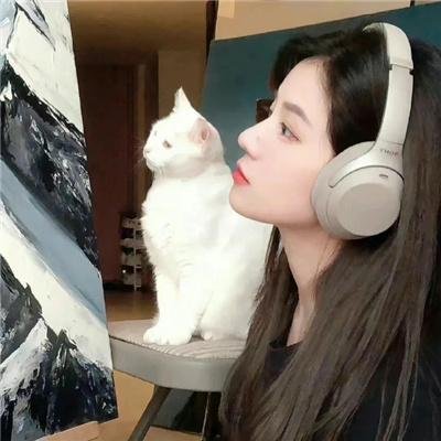 海龟们